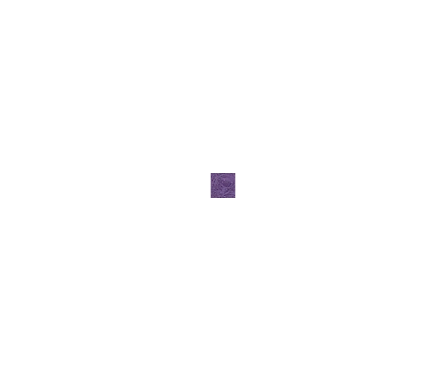 Action 2 Butt 2 Shaft Hard Case 20 Action 2 Butt 2 Shaft Hard Case - Image 18